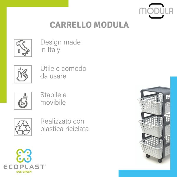 Ecoplast Carrello Cucina Portafrutta Portatutto Multiuso in Plastica Dimensioni 29x42x75 cm colore Ghiaccio