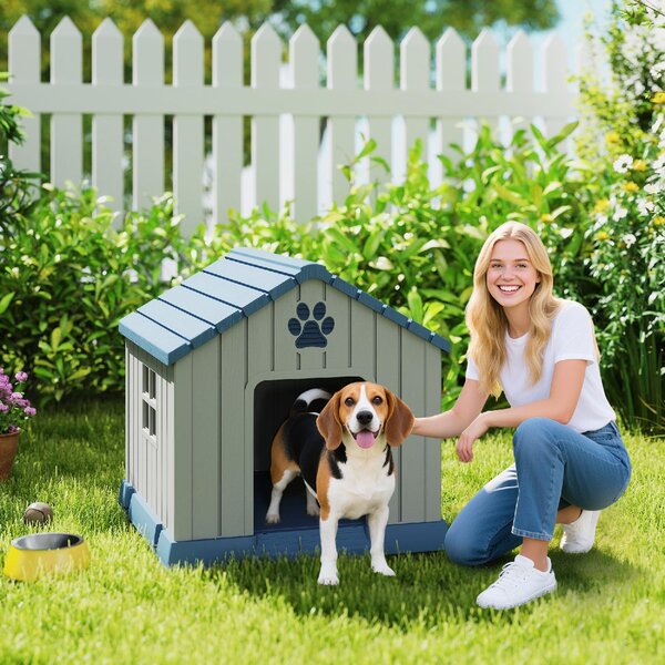 AllMyPets Casetta per Cani Taglia Media da Esterno Impermeabile con Base Rialzata e Finestre, 85x79x82 cm colore Grigio - L3900GY