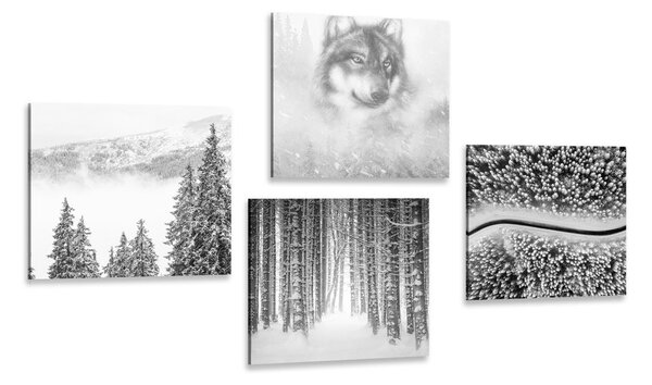 Set di quadri – Lupo nel bosco misterioso in bianco e nero