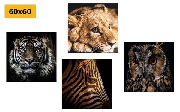 Set di quadri – Animali selvatici