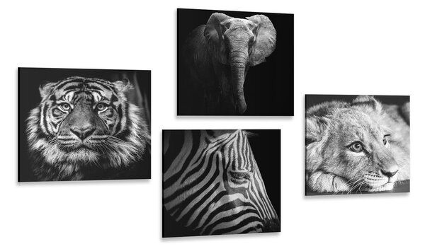 Set di quadri – Animali selvatici in bianco e nero