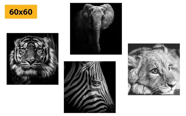 Set di quadri – Animali selvatici in bianco e nero