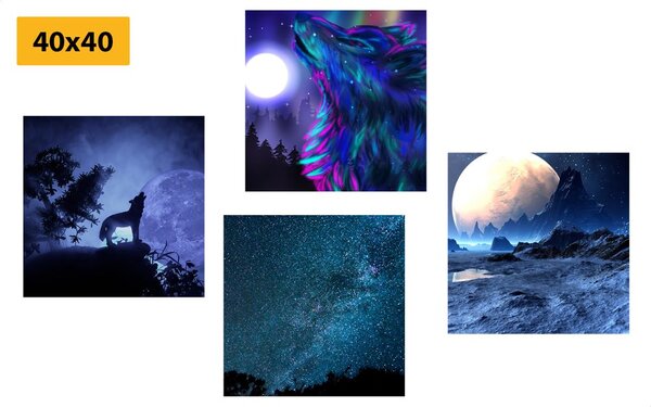 Set di quadri – Lupo misterioso