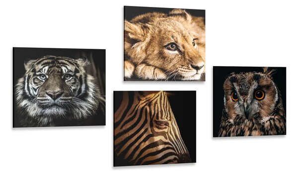 Set di quadri – Animali selvatici
