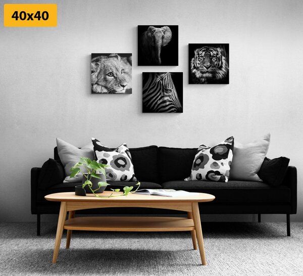 Set di quadri – Animali selvatici in bianco e nero