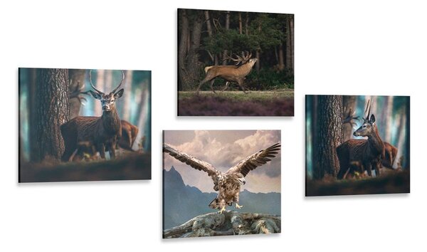 Set di quadri – Bellezza degli animali del bosco