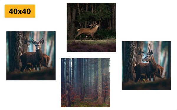 Set di quadri – Incanto degli animali del bosco