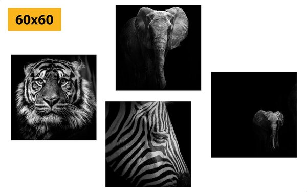 Set di quadri – Animali in stile bianco e nero