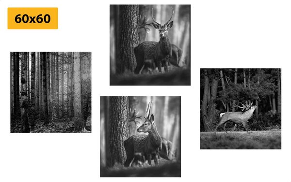 Set di quadri – Animali del bosco in bianco e nero