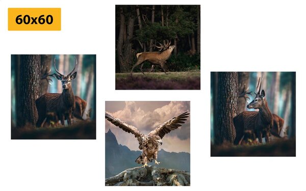 Set di quadri – Bellezza degli animali del bosco