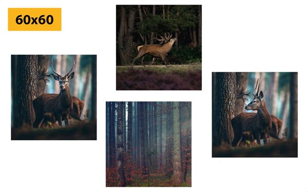 Set di quadri – Incanto degli animali del bosco