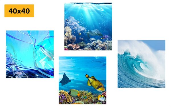 Set di quadri – Vita sotto il mare