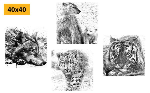 Set di quadri – Animali in versione acquerello in bianco e nero