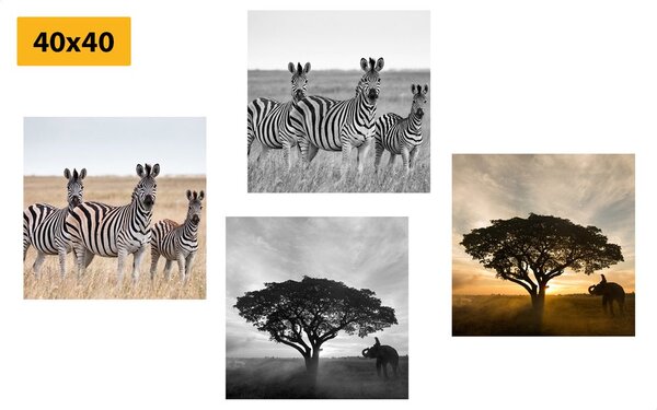 Set di quadri – Animali che vivono nella Savana