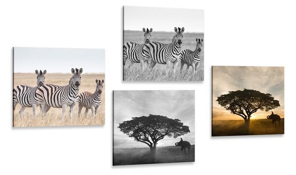 Set di quadri – Animali che vivono nella Savana