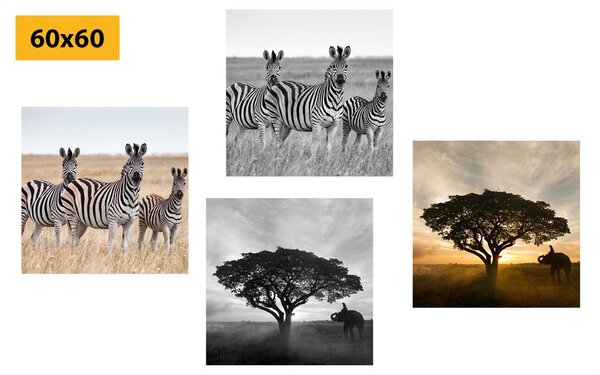 Set di quadri – Animali che vivono nella Savana