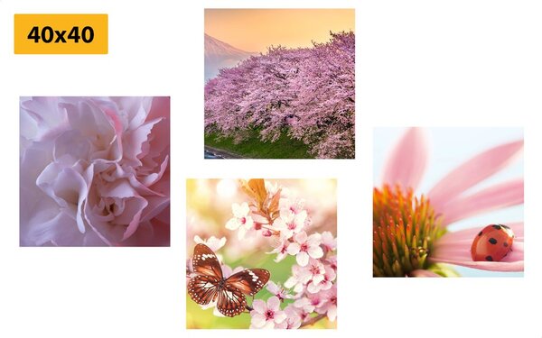 Set di quadri – Fioritura della natura