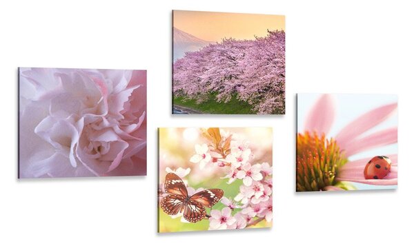 Set di quadri – Fioritura della natura