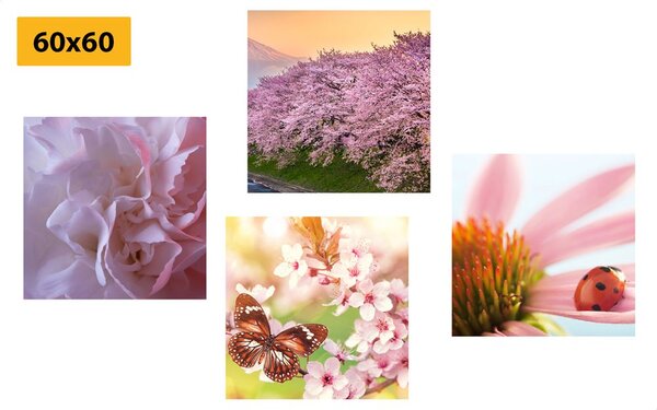Set di quadri – Fioritura della natura