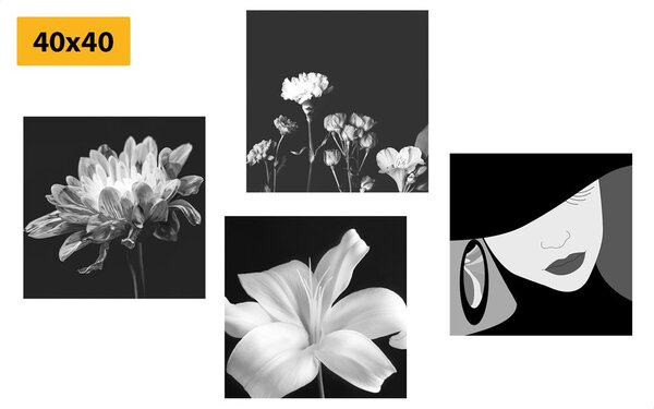 Set di quadri – Eleganza femminile e fiori in bianco e nero
