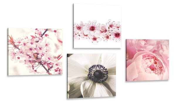 Set di quadri – Delicatezza dei fiori