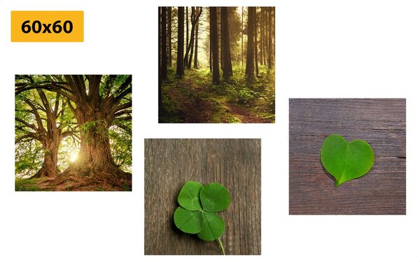 Set di quadri – Brezza della natura