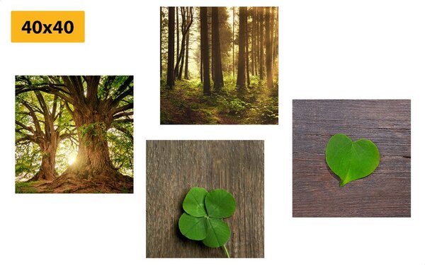 Set di quadri – Brezza della natura