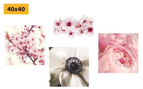 Set di quadri – Delicatezza dei fiori