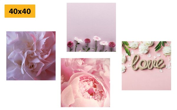 Set di quadri – Fiori in delicata tonalità rosa