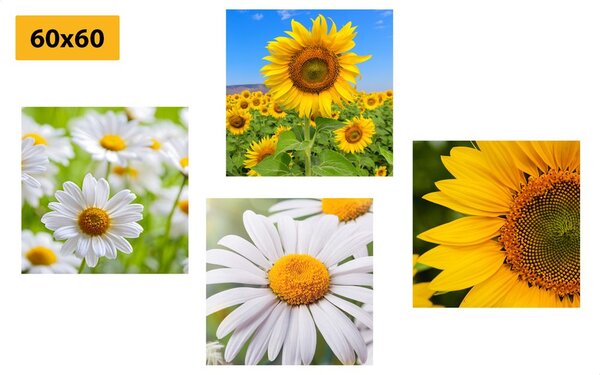 Set di quadri – Splendidi fiori nel prato