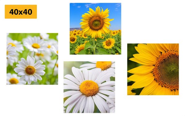 Set di quadri – Splendidi fiori nel prato
