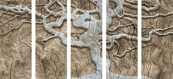 Quadri 5 pezzi – Albero astratto su legno in tonalità beige