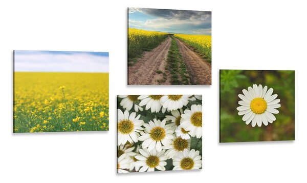Set di quadri – Prato pieno di fiori