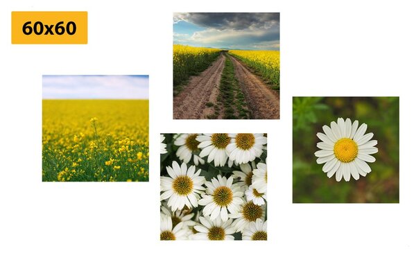 Set di quadri – Prato pieno di fiori