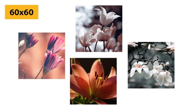 Set di quadri – Delicatezza dei fiori