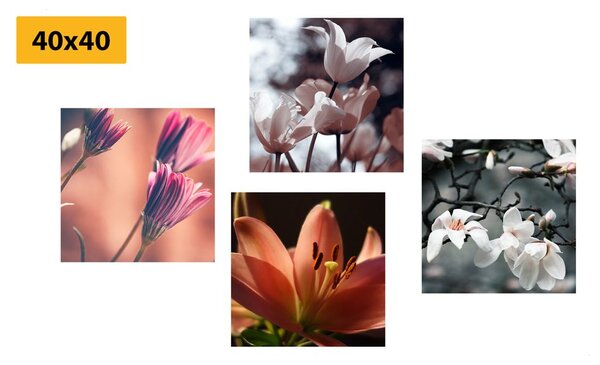 Set di quadri – Delicatezza dei fiori