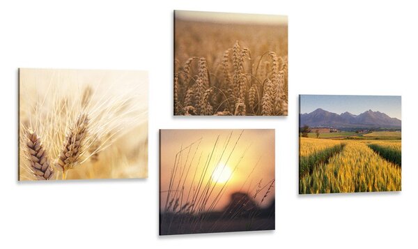 Set di quadri – Incanto della natura