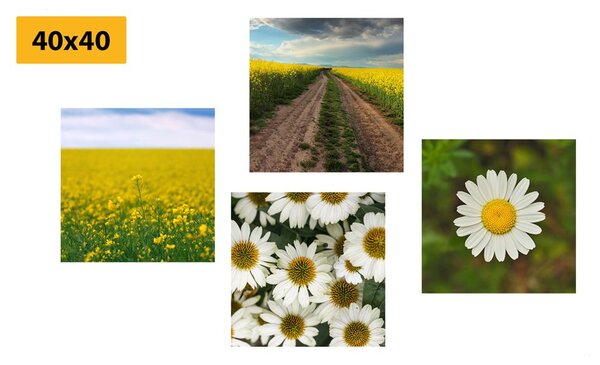 Set di quadri – Prato pieno di fiori