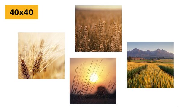 Set di quadri – Incanto della natura