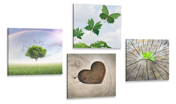 Set di quadri – Angolo unico della natura