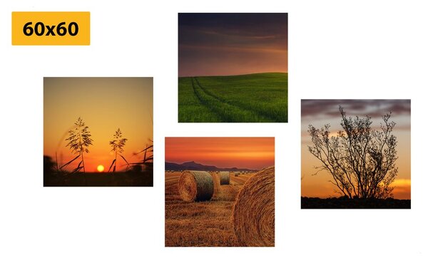 Set di quadri – Tramonto romantico sul prato