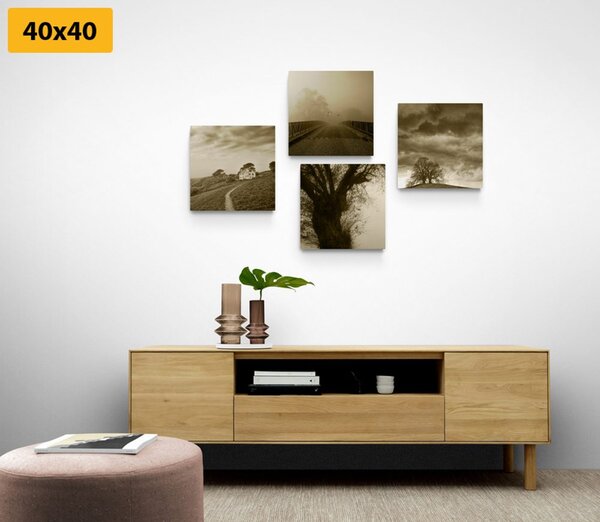 Set di quadri – Natura misteriosa in versione seppia