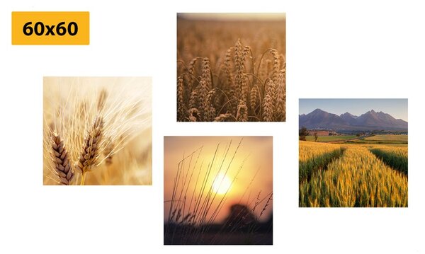 Set di quadri – Incanto della natura