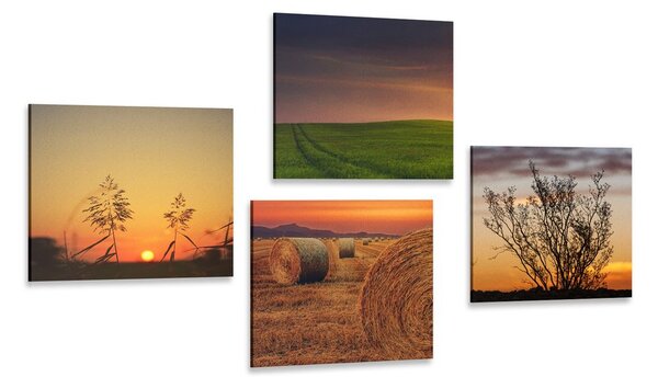 Set di quadri – Tramonto romantico sul prato