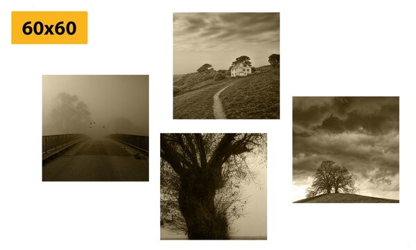 Set di quadri – Natura misteriosa in versione seppia