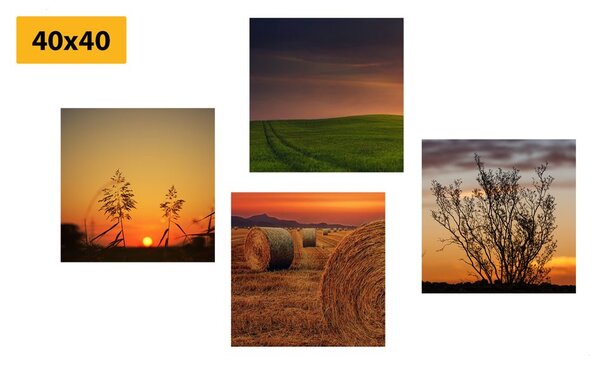 Set di quadri – Tramonto romantico sul prato