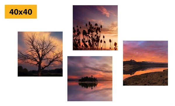 Set di quadri – Natura piena di colori romantici