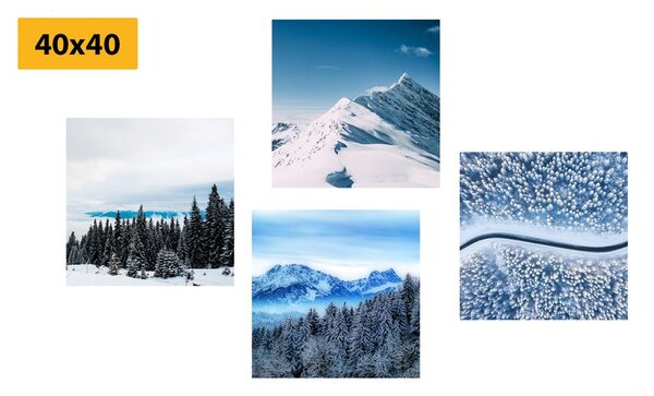 Set di quadri – Bellezze della natura innevata