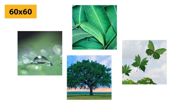 Set di quadri – Natura piena di verde