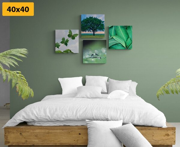 Set di quadri – Natura piena di verde